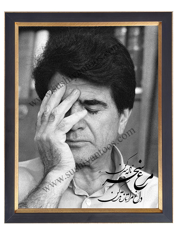 استاد شجریان (مرغ سحر)